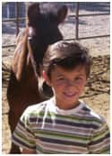 equestrian property las vegas