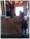 las vegas equestrian homes