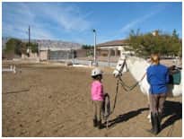 las vegas horse properties